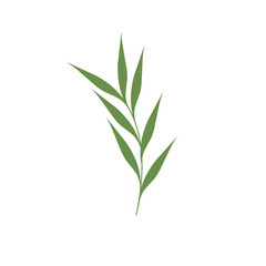 Fototapeta premium Minimalist leaf vector. Minimalist green leaf illustration. Green leaf flat design. Minimalist leaf element. Botanical leaf vector illustration. Simple leaf illustration 