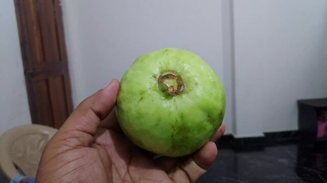 Closeup view of fresh guava fruits showing green skin and natural texture details