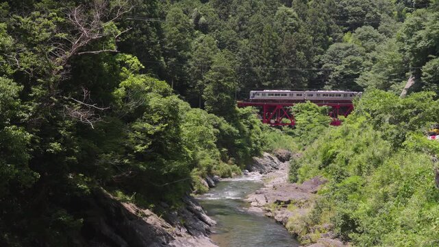 Train Passing Through Ryuo Gorge on the Way to Koyasan, Kudoyama, Wakayama, Japan　「龍王渓(りゅうおうけい)を高野山に向かう電車が通過する」和歌山県九度山町