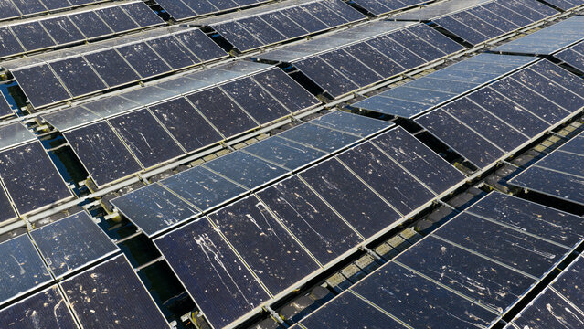 Aerial view of floating solar panels arranged in rows on a water surface with visible dirt and bird droppings under bright daylight in Zwolle, Overijssel, Netherlands.