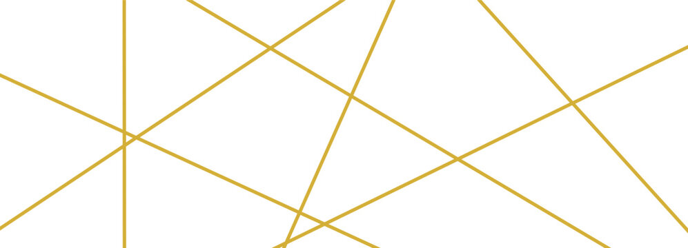 Line random chaos and lines pattern straight with chaotic abstract geometric. Modern irregular edgy and triangle contemporary grid with lineal mess diagonal. Vector line kaos and messy lines.