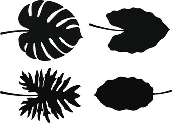 Monstera and philodendron large tropical leaves vector silhouette design asset © SHARMIN
