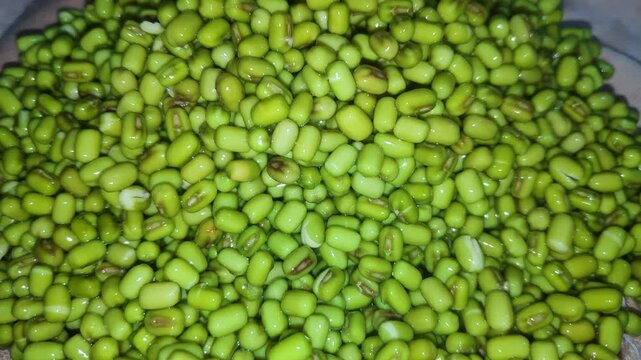 Closeup view of soaked mung beans showing swollen texture and fresh natural green color