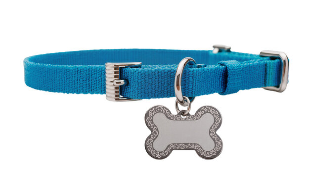 Blue fabric dog collar with silver metal buckle and bone-shaped tag