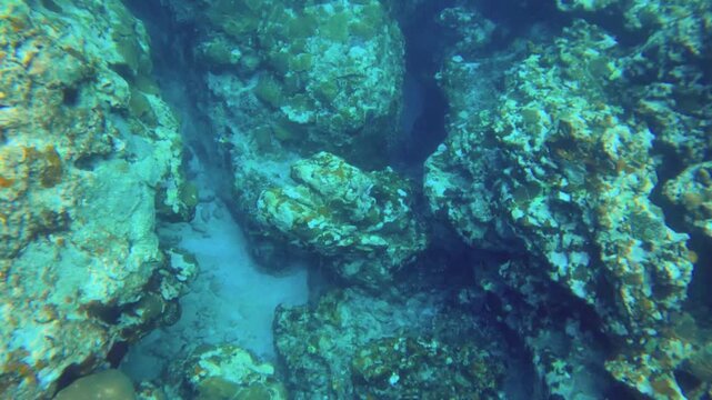 swimming underwater ocean sea salt camera view of various coral reef looking down at passage gaps and valley then away with fishes during day time in Lanyu Taiwan asia
