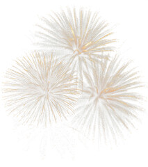 Fototapeta premium Spectacular Fireworks Display Isolated on Transparent Background PNG