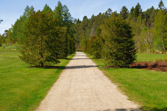 All&eacute;e de gravier bord&eacute;e d'arbres dans le domaine de Balmoral