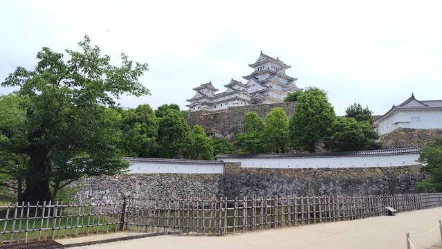 木々の間から見える姫路城の天守