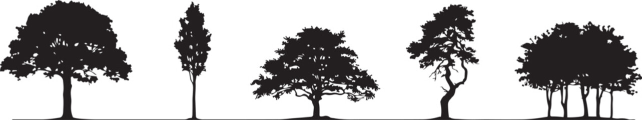 Fototapeta premium Oak tree set. Silhouette vector illustration