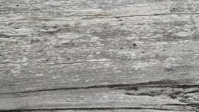 Textured dark grained wood background