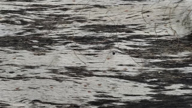 Textured dark grained wood background
