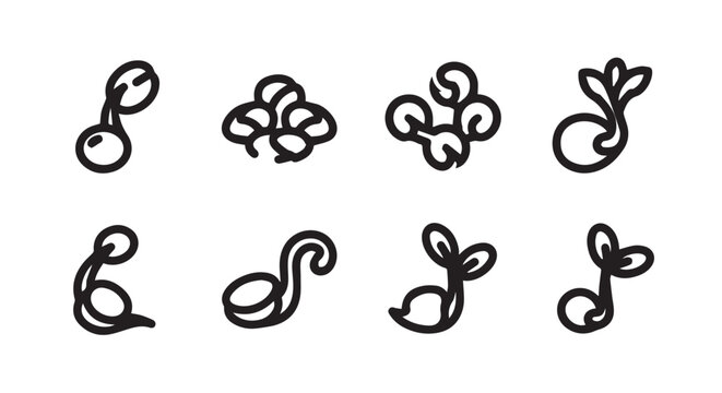 Minimalist line drawings of bean sprouts and abstract shapes on white background for concept
