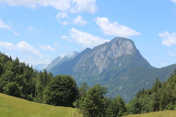 Fototapeta premium Scenic alpine landscape featuring majestic rocky mountains under a blue sky with fluffy clouds, bordered by lush green pine forests and a peaceful grassy meadow in the foreground.