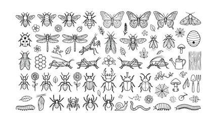 Detailed insect and bug vector collection, hand-drawn black and white line art illustrations of butterflies, bees, spiders, and beetles, perfect for educational materials or nature-themed © Joe