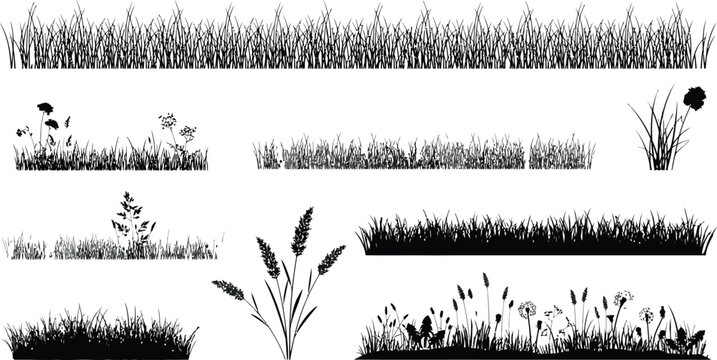 Black and white grass and wild plants illustration collection