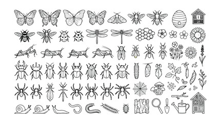Detailed insect and bug vector icon set, hand-drawn nature elements, garden creatures, and entomology illustrations, perfect for educational materials and outdoor designs. © Joe