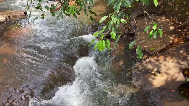 Close-up view of a flowing freshwater stream with a tree branch in the foreground, showcasing natural movement, rippling water, and a tranquil outdoor environment