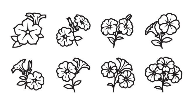 Petunia flower line art illustrations with delicate petals and stems on a white background