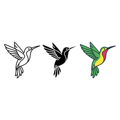 Obraz premium Hummingbird Art Variations