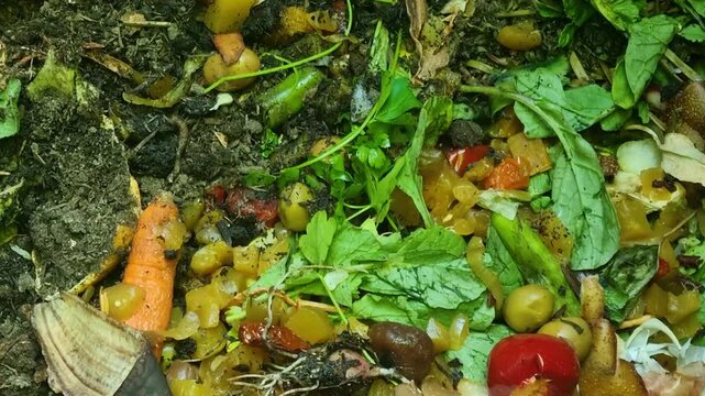 Close-up of organic leftovers in a home compost bin, demonstrating how biodegradable materials are recycled into nutrient-rich soil for plants, filmed in Bern, Switzerland