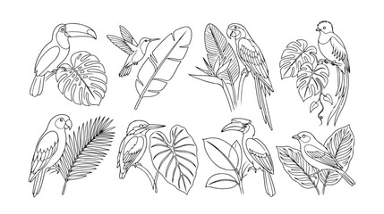 Fototapeta premium Tropical birds and exotic leaves vector set, hand-drawn jungle wildlife illustrations, black and white line art collection for nature-themed designs, 8 unique animal and plant graphics.