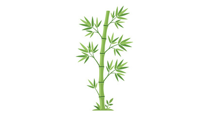 Fototapeta premium Illustration of a single green plant stem with leaves on a white background in a flat graphic style.