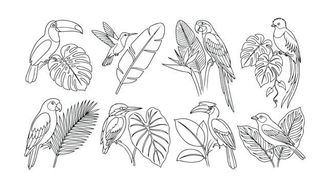 Tropical birds and exotic leaves vector set, hand-drawn jungle wildlife illustrations, black and white line art collection for nature-themed designs, 8 unique animal and plant graphics.