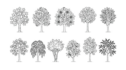 Fototapeta premium Diverse tree outline vector set, 12 unique black and white tree illustrations, natural plant collection for graphic design, botanical elements for nature-themed projects