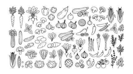 Hand-drawn vegetable icon set, a comprehensive collection of fresh produce illustrations. Organic farm food vector graphics, perfect for healthy eating and cooking designs. © Haseeb's Work