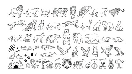 Fototapeta premium Wild animal vector icon set, hand-drawn wildlife illustrations, black and white safari and forest creature collection, nature and adventure graphic resources for design projects.