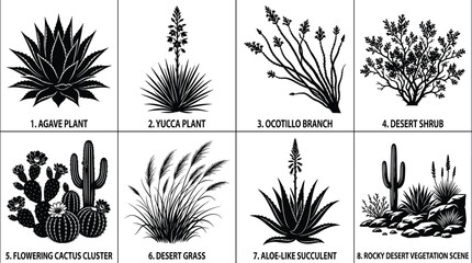 Desert Plant Silhouette Vector Set Featuring Agave Yucca Flowering Cactus Succulents and Rocky Vegetation Scenes © Fajle