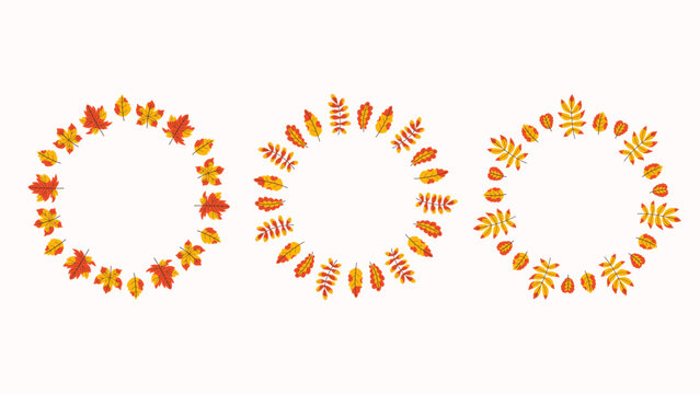 Colorful Fall Leaves Wreath Set. Yellow and Orange Autumn Foliage Round borders. Botanical Seasonal Card Template Collection with empty space for text. Flat vector