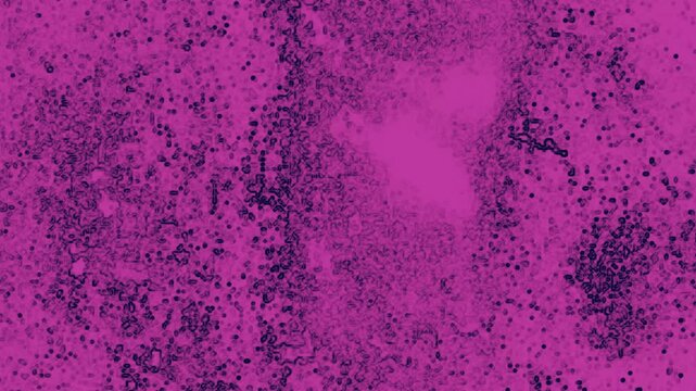 Grunge background Microscopic image of magenta stained tissue biopsy slide cells for cancer diagnostic pathology lab. Suitable for medical publications and presentations.
