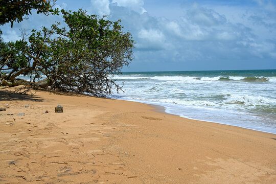 Tropical sandy beach coastline with sea waves crashing on the shore. Beautiful ocean landscape panorama under a blue cloudy sky with green coastal trees during bright daytime.