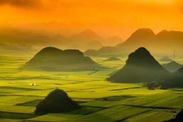 Yellow rapeseed (canola) flower field in spring, Luoping, China © lkunl