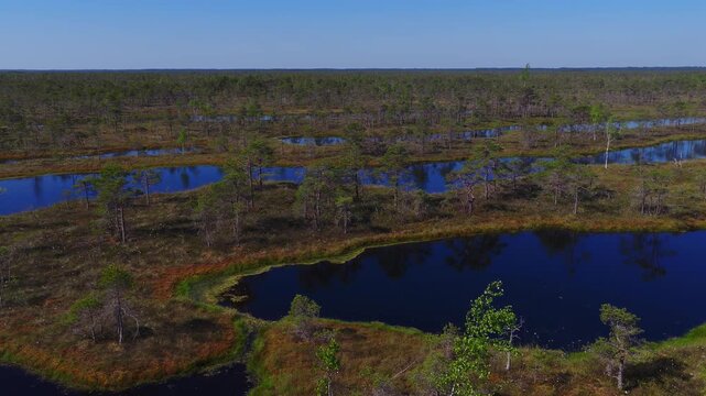 Aerial drone sweeps over Kemeri National Park bog in Latvia, with dark peat pools, grassy islands, low pines, cotton grass, and gentle ripples under a clear sky.