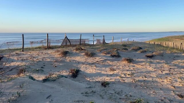 4K static shot of protected sand dunes at Labenne Oc&eacute;an, France. Features traditional ganivelles wooden fences for erosion control at sunset.