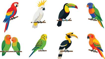 Tropical Bird Vector Collection with Parrots, Cockatoos, Toucans and Lovebirds © Biplob Creators