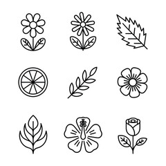 Tea Flavors Icons Featuring Jasmine Blossom Chamomile Flower Mint Leaf Bergamot Citrus Herbal Infusions Outline Vector Illustration for Beverage Menu Packaging and Branding © HYPER