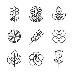 Tea Flavors Icons Featuring Jasmine Blossom Chamomile Flower Mint Leaf Bergamot Citrus Herbal Infusions Outline Vector Illustration for Beverage Menu Packaging and Branding © HYPER