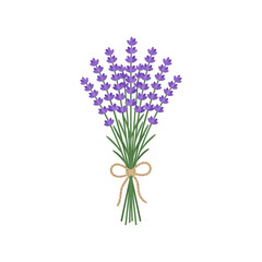 Obraz premium A beautiful bunch of lavender flowers tied with a rustic twine bow on a white background