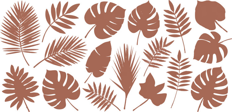 Collection of tropical palm and monstera leaf silhouettes in terracotta color, exotic plant shapes for decor.