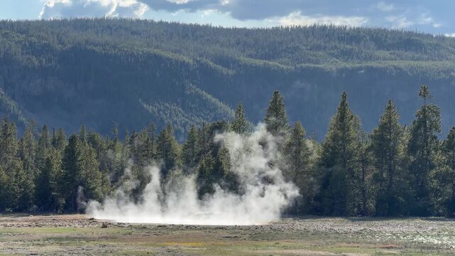 View of Upper Geyser Basin near Old Faithful, Yellowstone