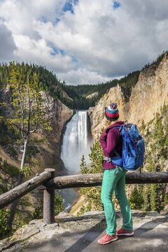 Hiker at Red Rock Viewpoint, Lower Falls, Waterfall in a gorge, Grand Canyon of the Yellowstone River, View from North Rim, Yellowstone National Park, Wyoming, USA
