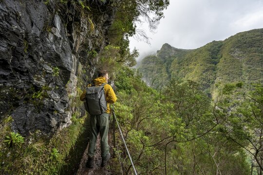 Hikers on a narrow path along a levada, view of forested mountains, Levada do Caldeir&atilde;o Verde, Parque Florestal das Queimadas, Madeira, Portugal