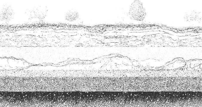 Detailed cross section of layered earth strata with trees and foliage on surface layers