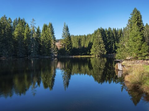 Small lake in the Thuringian Forest under blue sky, spruce forest reflected, Ochsenbacher Teich, Thuringia, Germany