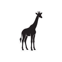 Fototapeta premium Minimalist black silhouette of a standing giraffe in profile isolated on a white background, for animal