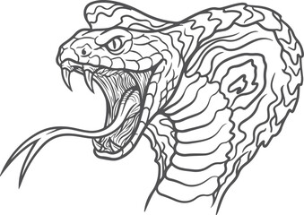 Obraz premium Detailed line art illustration of a cobra head with open mouth and fangs ready to strike symbol of danger.