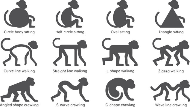 Collection of monkey icons in various sitting standing and crawling poses like circle half oval triangle curve straight L shape zigzag angled S C and wave for animation.